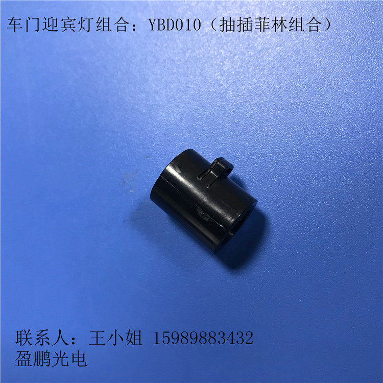高清車門迎賓燈組合